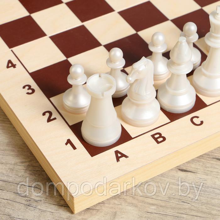 Шахматы гроссмейстерские (доска дерево 42х42 см, фигуры пластик, король h=10.5 см) - фото 3 - id-p143574883