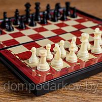Шахматы магнитные, в коробке, 19х19см, фото 2
