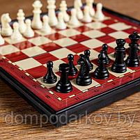 Шахматы магнитные, в коробке, 19х19см, фото 3