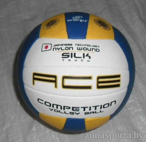 Мяч волейбольный для зала Model 300 ACE 5 - фото 1 - id-p11572734