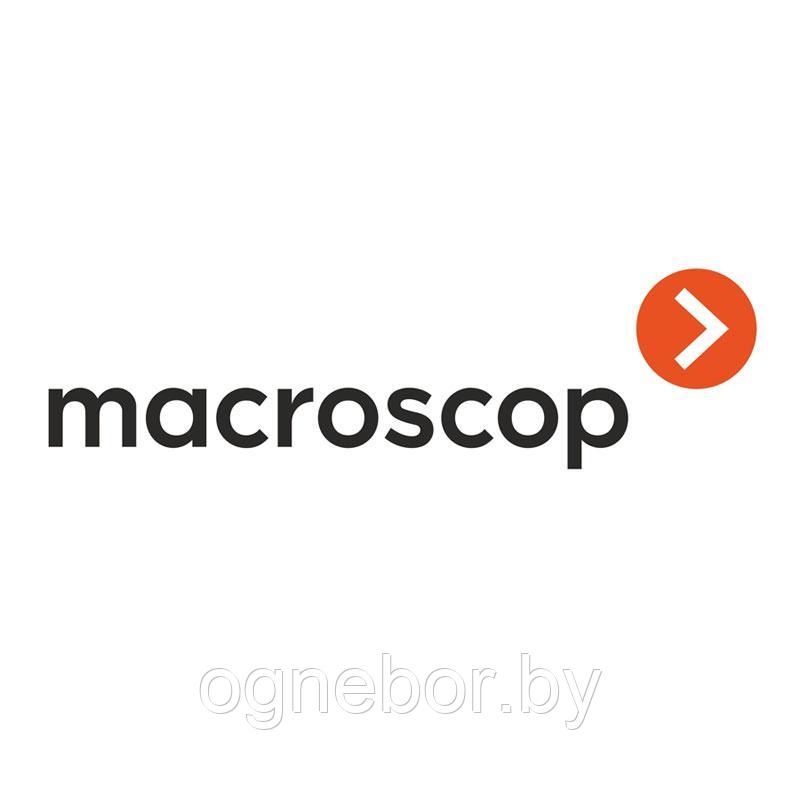 Macroscop