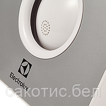 Вентилятор вытяжной Electrolux серии Rainbow EAFR-100 silver, фото 2