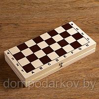 Шахматы "Пешка" (доска дерево 29х29 см, фигуры пластик. король h=7.2 см, пешка h=4 см), фото 6