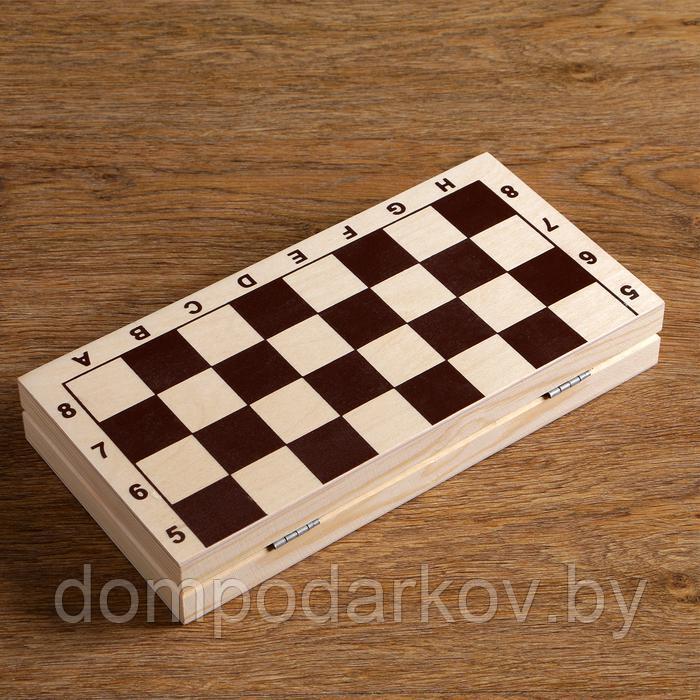 Шахматы "Пешка" (доска дерево 29х29 см, фигуры пластик. король h=7.2 см, пешка h=4 см) - фото 7 - id-p143773349