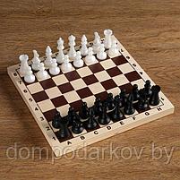 Шахматы "Пешка" (доска дерево 29х29 см, фигуры пластик. король h=7.2 см, пешка h=4 см), фото 5