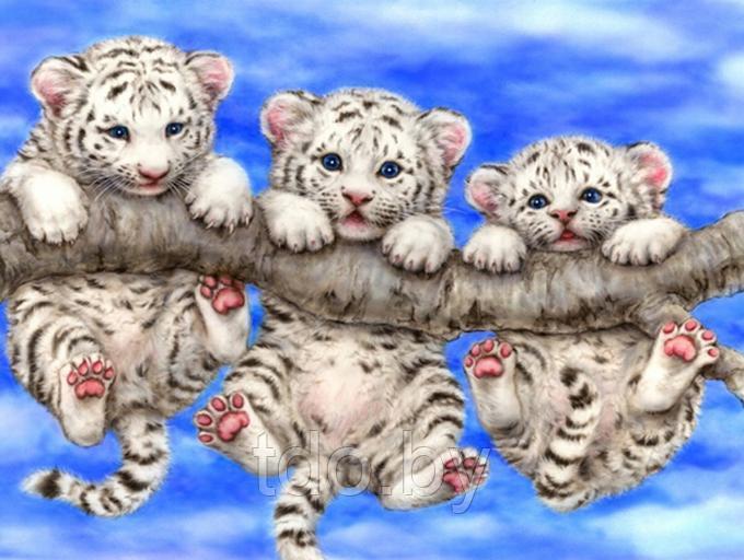 Алмазная мозаика «Три тигренка»