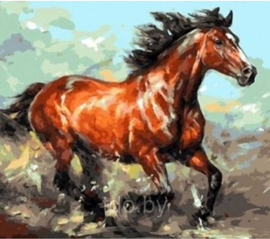 Алмазная мозаика «Лошадь гонка против ветра»