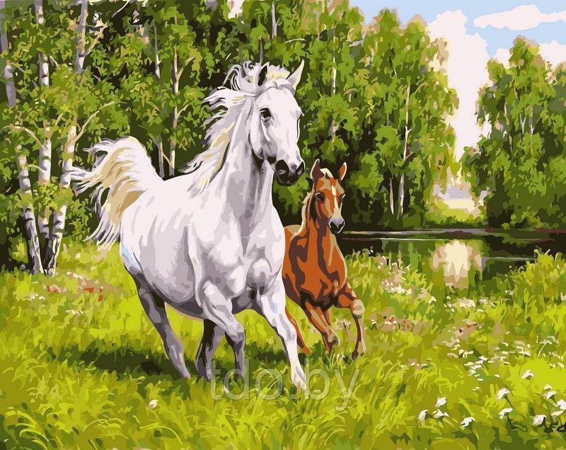 Алмазная мозаика «Лошадь и жеребенок»
