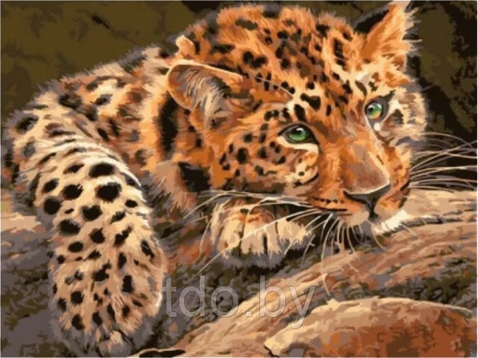 Алмазная мозаика «Задумчивый леопард»