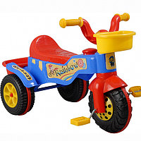 Велосипед трехколесный Pilsan Rainbow Bike 3+ 07116