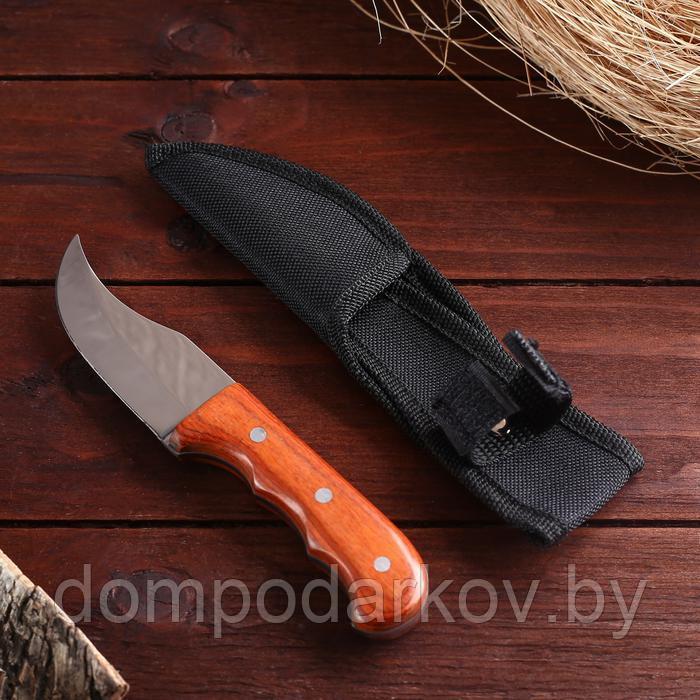 Нож туристический "Абсалон" 16 см, в чехле, деревянная рукоять с выемками