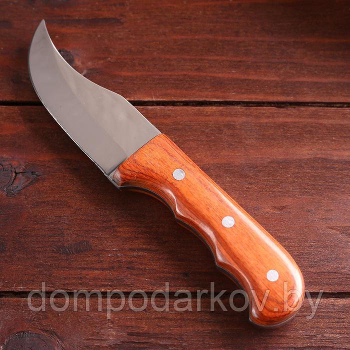 Нож туристический "Абсалон" 16 см, в чехле, деревянная рукоять с выемками - фото 2 - id-p144005153