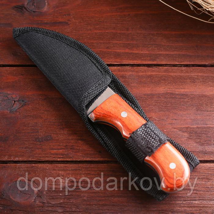 Нож туристический "Абсалон" 16 см, в чехле, деревянная рукоять с выемками - фото 3 - id-p144005153