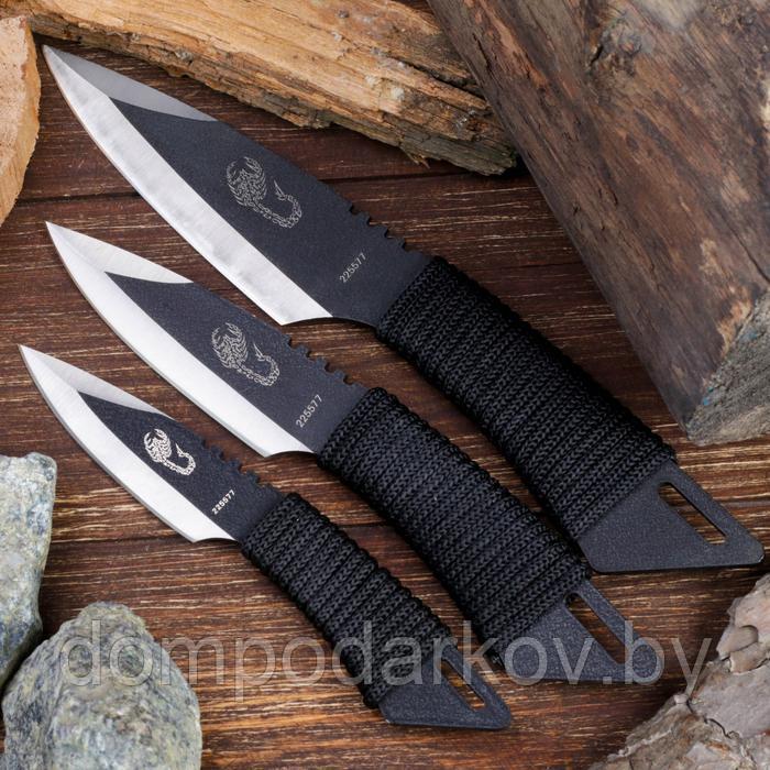 Набор метательных ножей "Скорпион", в оплётке, 3 шт., чёрные - фото 1 - id-p144015634