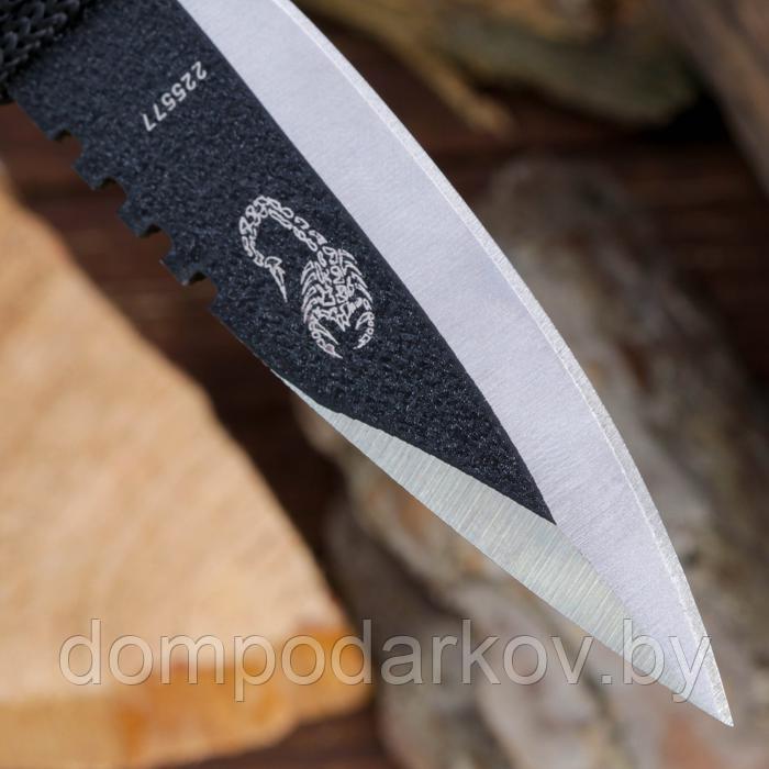 Набор метательных ножей "Скорпион", в оплётке, 3 шт., чёрные - фото 4 - id-p144015634