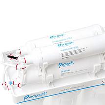 Фильтр обратного осмоса с минерализатором Ecosoft Standard, фото 3