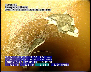 Видеодиагностика труб