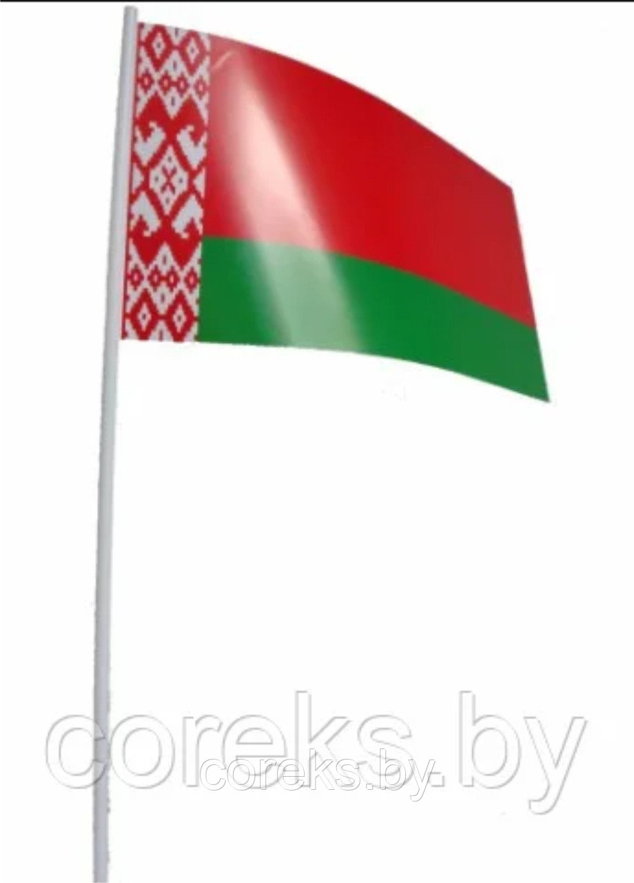 Флажок бумажный на палочке "Флаг Республики Беларусь"