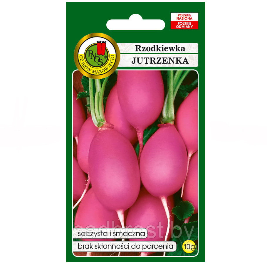 Семена Редис Ютшенка PNOS (10 гр) Польша