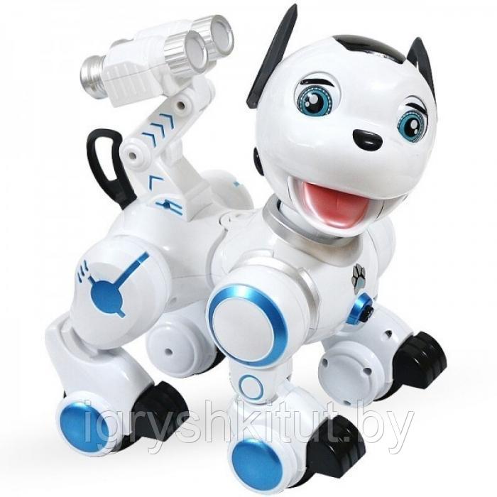 Робот-собака "Дружок" (сенсорные датчики, программируется, свет, звук, лай), арт.ZYB-B2856 - фото 1 - id-p144235039