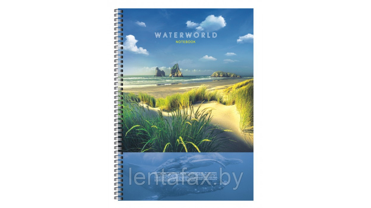 Тетрадь для записей BG А4 гребень 96л. клетка "Water world"