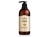 ESTHETIC HOUSE Шампунь для волос ИМБИРНЫЙ GINGER PURIFYING SHAMPOO, 500 мл