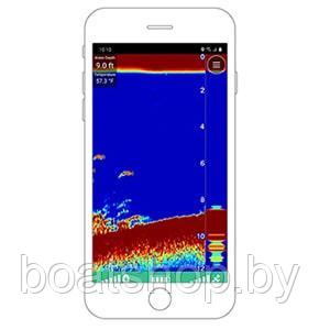 Беспроводной эхолот Garmin Striker Cast Беспроводной эхолот Garmin Striker Cast