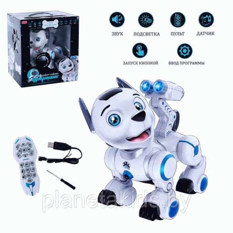 Интерактивная робот - собака Дружок (сенсорные датчики, программируется, свет, звук, лай), Zhorya ZYB-B2856 - фото 1 - id-p144346566