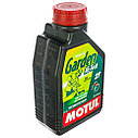 MOTUL 102799  Масло GARDEN 2T HI-TECH 1литр ISO L-EGD JASO FC API ТС, фото 2