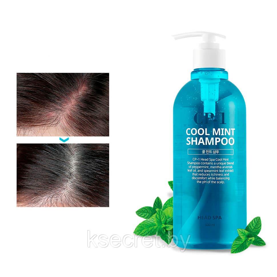 [ESTHETIC HOUSE] Шампунь для волос ОХЛАЖДАЮЩИЙ CP-1 HEAD SPA COOL MINT SHAMPOO, 500 мл - фото 3 - id-p144457249