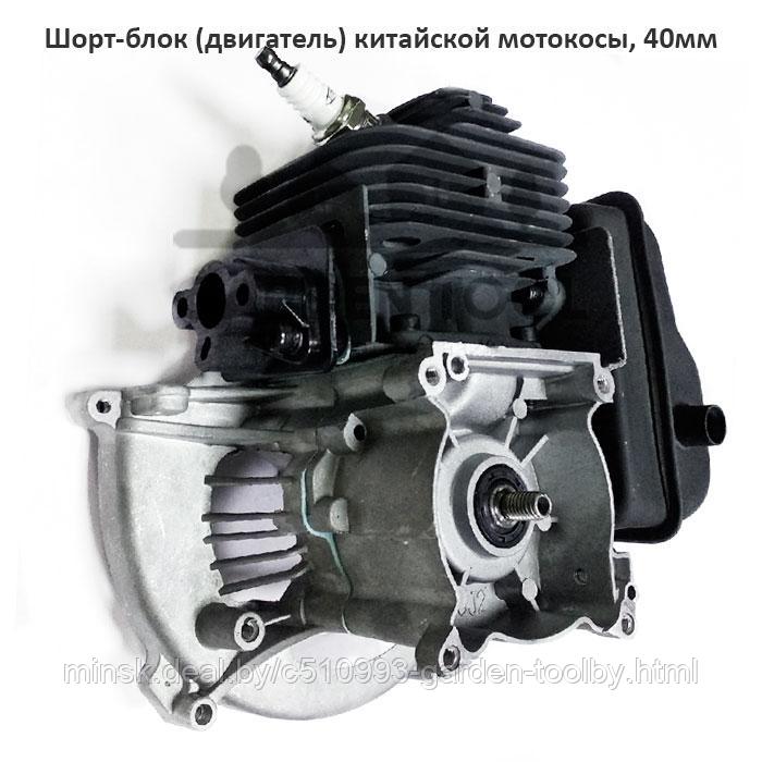 Шорт-блок двигатель китайской мотокосы 1E40F (40мм, 43cc)