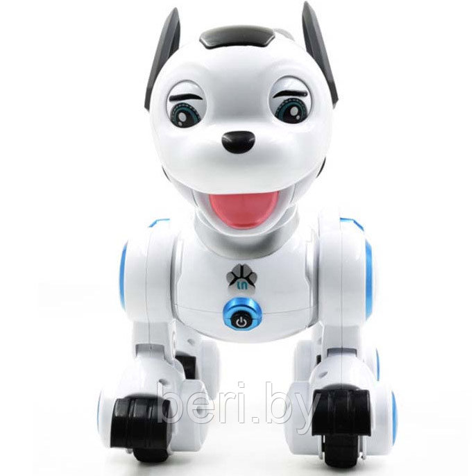 ZYB-B2856 Робот-собака "Дружок", сенсорные датчики, программируется, свет, звук, лай, эмоции - фото 3 - id-p144515247