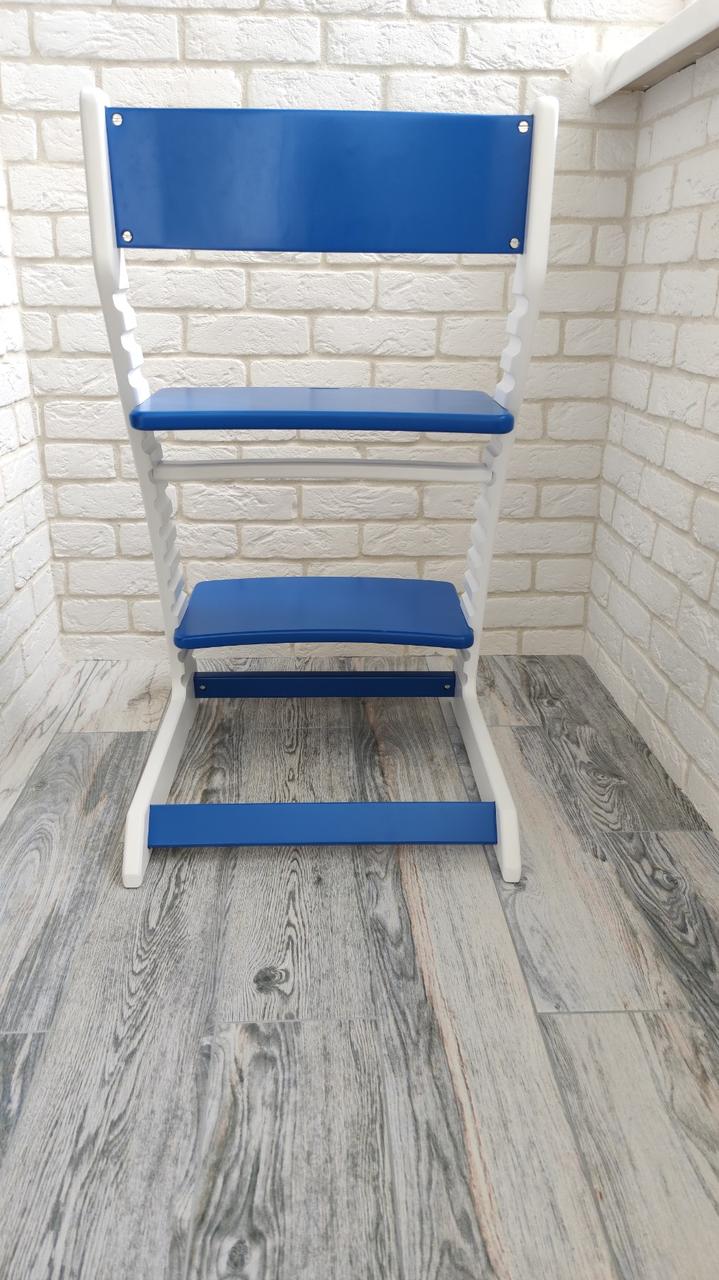 Детский регулируемый растущий стул «ВАСИЛЁК» Slim ВН-21Д (бело-синий) - фото 4 - id-p144595701
