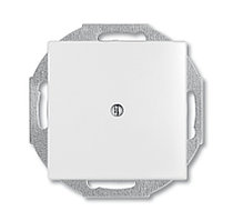 Basic 55 - Обрамление для кабельного ввода (сл.кость)