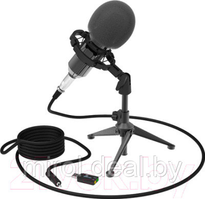 Микрофон Ritmix RDM-160 - фото 5 - id-p144709928