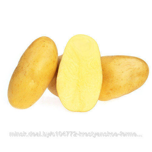 Семенной картофель. Разные сорта - фото 1 - id-p144720704