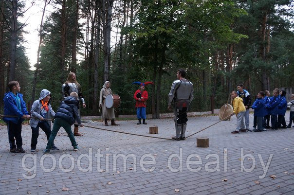 Веселые рыцарские конкурсы на детском празднике. - фото 1 - id-p2023174