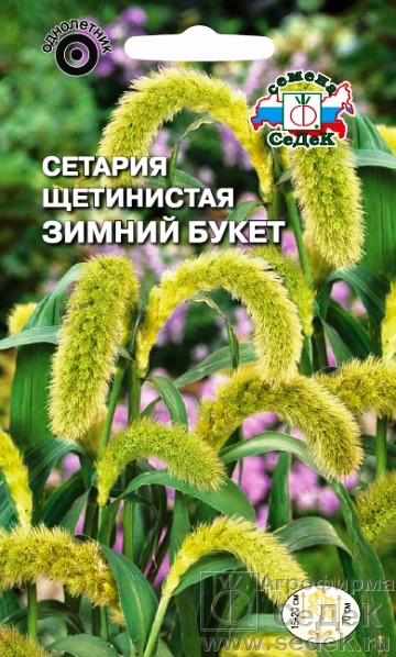 Сетария щетинистая «Зимний букет», 0,5 г