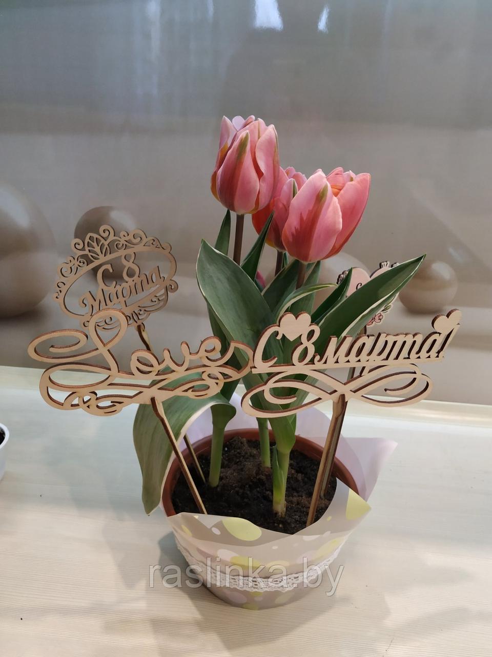 Тюльпаны в горшках - фото 2 - id-p144787247