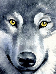 Картина стразами «Взгляд волка» (WD2361)