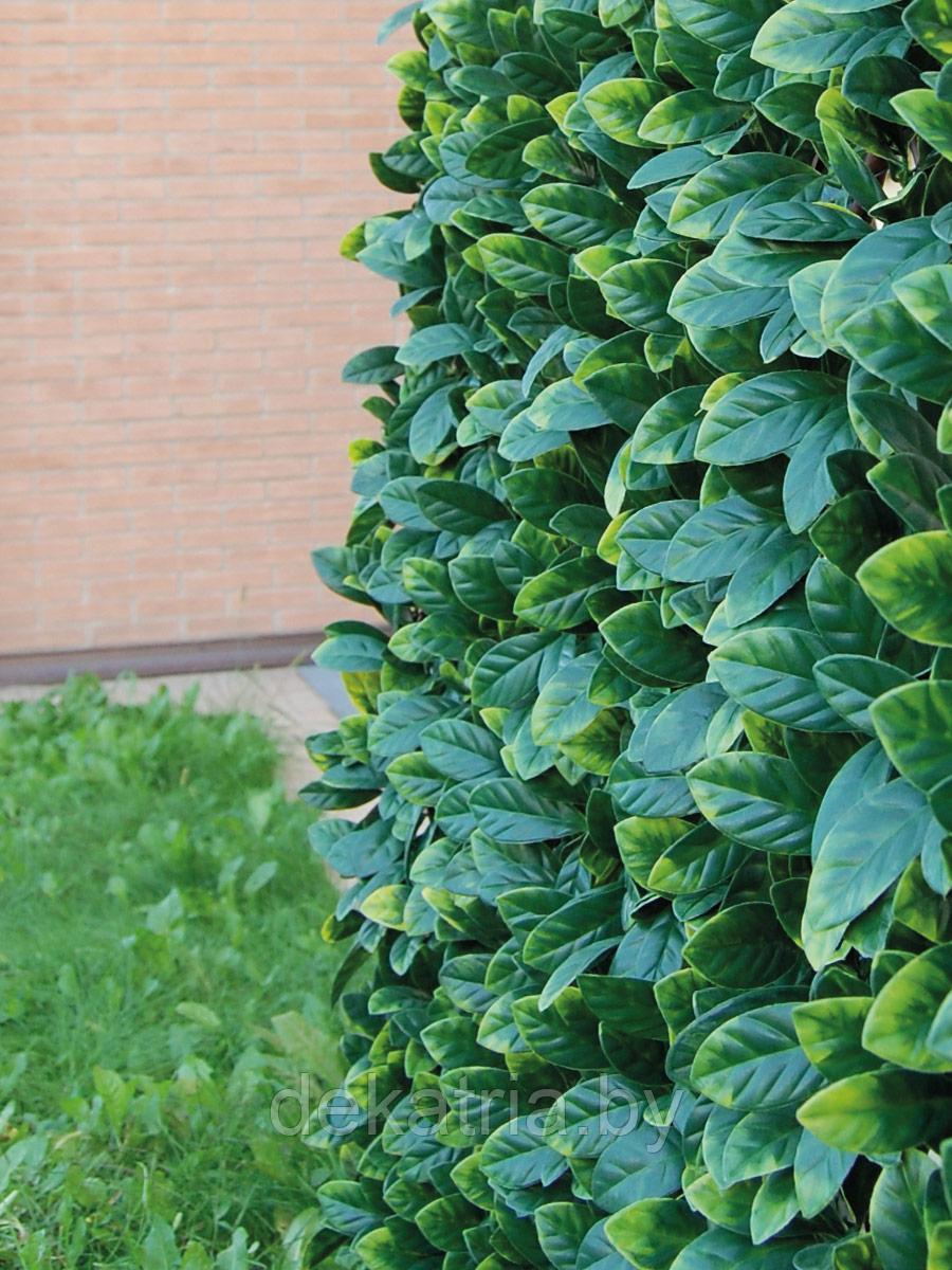 Изгородь DIVY 3D X-TENS OSMANTHUS (Кипарис) 1х2м.
