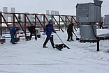 Уборка снега с плоских крыш, фото 5