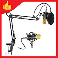 Профессиональный конденсаторный микрофон (кронштейн, два попфильтра, звуковая карта)