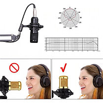 Профессиональный конденсаторный микрофон (кронштейн, два попфильтра, звуковая карта), фото 3