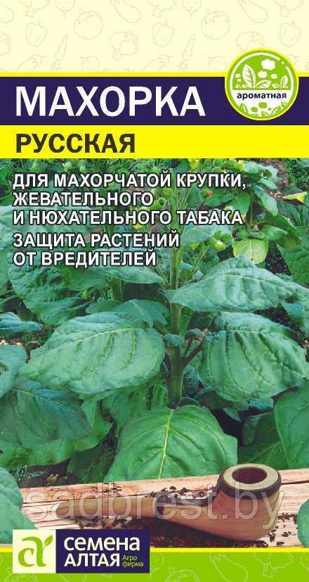 Семена Табак курительный Махорка русская (0,01 гр) Семена Алтая