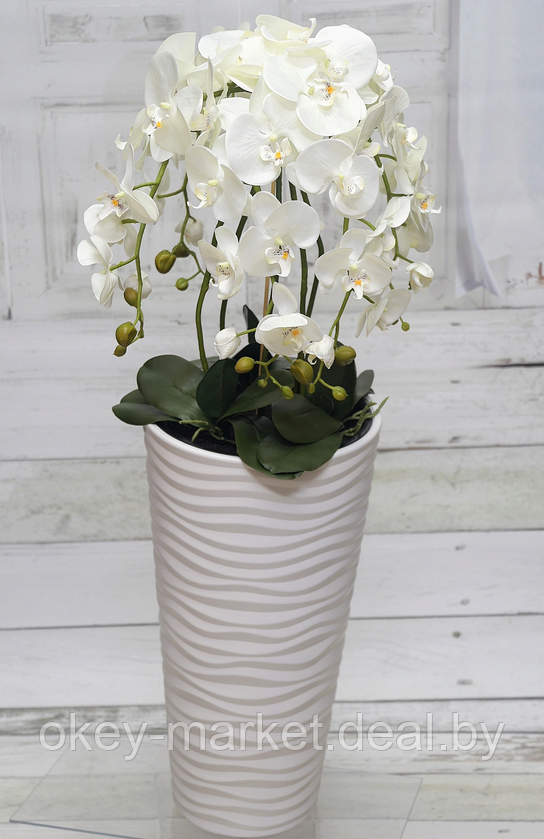 Цветочная композиция из орхидей в горшке 95 см - фото 4 - id-p144886731