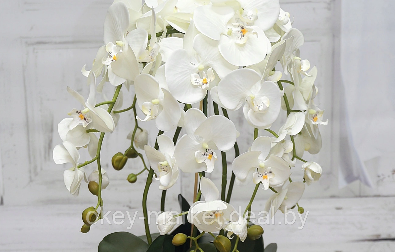 Цветочная композиция из орхидей в горшке 95 см - фото 5 - id-p144886731
