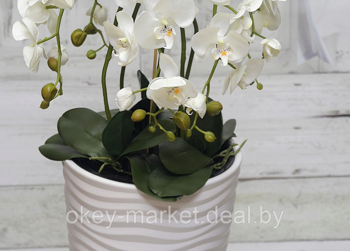 Цветочная композиция из орхидей в горшке 95 см - фото 6 - id-p144886731