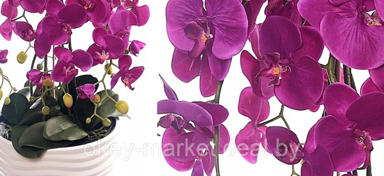 Цветочная композиция из орхидей в горшке 95 см - фото 3 - id-p144890692