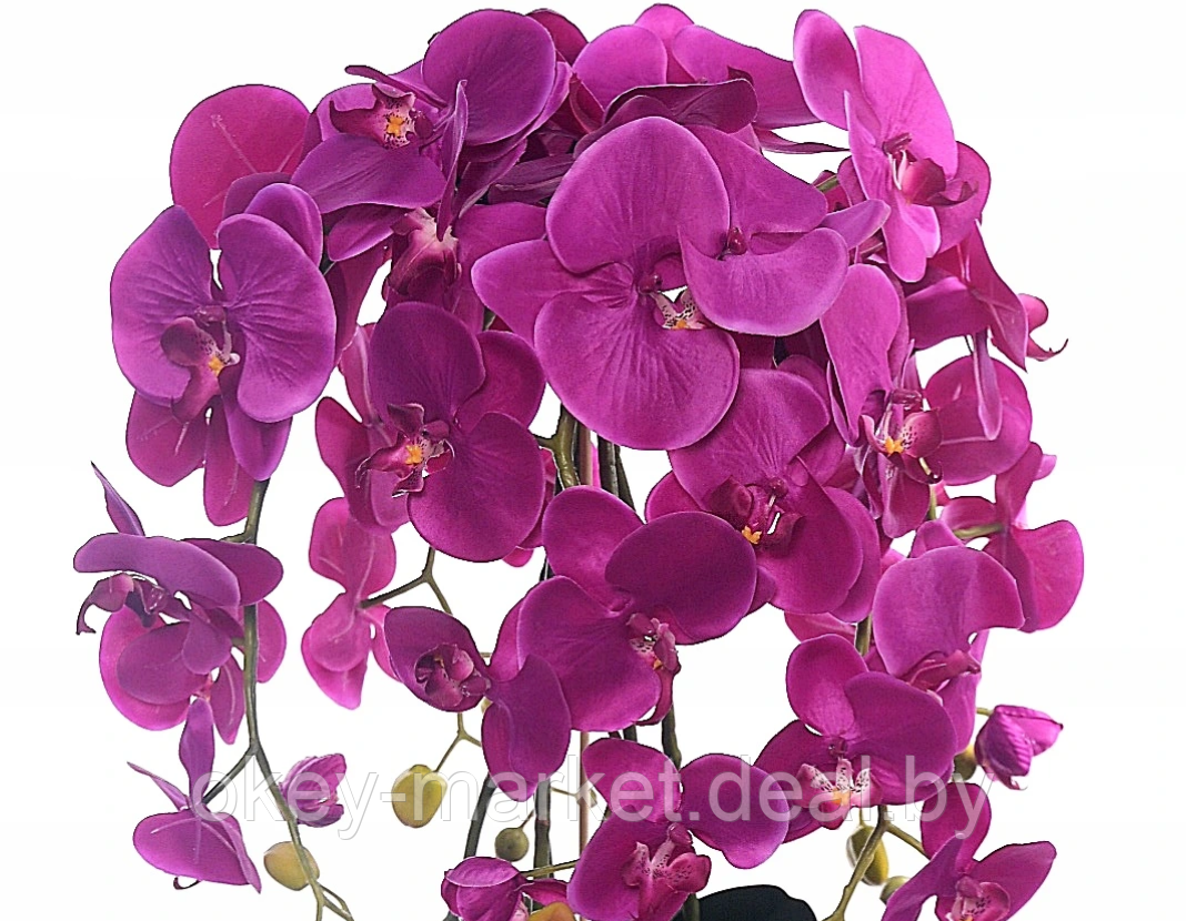 Цветочная композиция из орхидей в горшке 95 см - фото 5 - id-p144890692